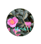冬景色1（個別スタンプ：17）