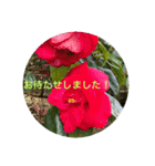 冬景色1（個別スタンプ：20）