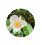 冬景色1（個別スタンプ：24）