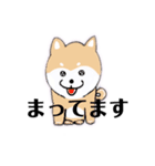 しば犬ちゃん5（個別スタンプ：2）