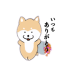 しば犬ちゃん5（個別スタンプ：5）