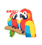 speaking parakeet（個別スタンプ：3）