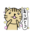 3匹のねこ①（個別スタンプ：5）