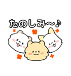 いぬぽめ 3匹version（個別スタンプ：28）