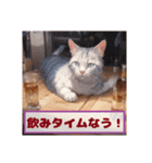 酔っ払い猫（個別スタンプ：1）