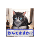 酔っ払い猫（個別スタンプ：5）