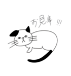 気ままな猫と日常（個別スタンプ：13）