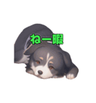 AI犬スタンプ（個別スタンプ：3）