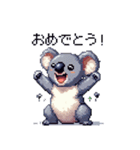 ドット絵 コアラ 日常会話 40種（個別スタンプ：14）