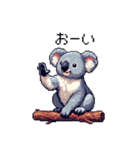 ドット絵 コアラ 日常会話 40種（個別スタンプ：19）