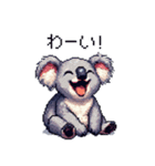 ドット絵 コアラ 日常会話 40種（個別スタンプ：20）