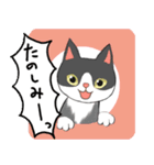 【みけねこ＆ハチワレ】動く！ペットたち（個別スタンプ：21）