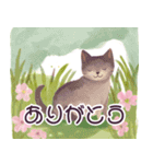 日常で使える猫 お花の水彩画（個別スタンプ：5）