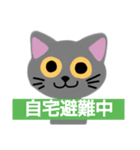 猫 非常時用（個別スタンプ：2）