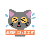 猫 非常時用（個別スタンプ：3）