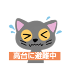 猫 非常時用（個別スタンプ：4）