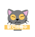 猫 非常時用（個別スタンプ：6）