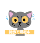 猫 非常時用（個別スタンプ：7）