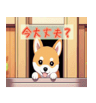 ほんわか癒し柴犬の日常（個別スタンプ：34）