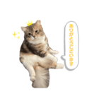 たぬきのふうちゃん（個別スタンプ：6）