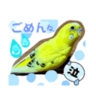 ぴぃこちゃん❤︎（個別スタンプ：3）