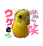 ぴぃこちゃん❤︎（個別スタンプ：5）