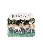 ほんわか＊ 奈良の鹿と過ごす日々（個別スタンプ：14）