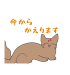 ぽっちゃり猫又さん（個別スタンプ：13）