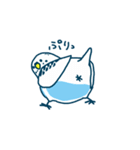 セキセイインコ うんこ時報（個別スタンプ：1）