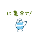 セキセイインコ うんこ時報（個別スタンプ：29）
