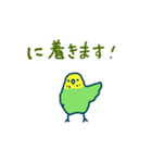 セキセイインコ うんこ時報（個別スタンプ：30）