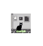 毎日使える黒猫ドットスタンプ（個別スタンプ：2）