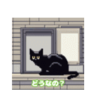 毎日使える黒猫ドットスタンプ（個別スタンプ：33）