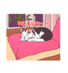 家でくつろぐ猫（個別スタンプ：2）