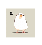 愛くるしい文鳥たち（個別スタンプ：1）