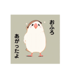 愛くるしい文鳥たち（個別スタンプ：3）