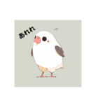 愛くるしい文鳥たち（個別スタンプ：5）