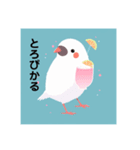 愛くるしい文鳥たち2（個別スタンプ：3）