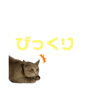 おかきのスタンプ⭐︎（個別スタンプ：10）
