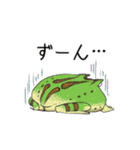 ぺったんこツノガエル（個別スタンプ：8）