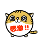 まるねこ 猫の敬語多めスタンプ（個別スタンプ：14）