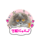 スコティッシュのアラレちゃんスタンプ（個別スタンプ：4）