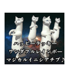 ⚫踊る宇宙猫40匹セット(セリフ付き)（個別スタンプ：5）