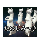 ⚫踊る宇宙猫40匹セット(セリフ付き)（個別スタンプ：6）