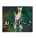 ⚫踊る宇宙猫40匹セット(セリフ付き)（個別スタンプ：11）