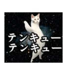 ⚫踊る宇宙猫40匹セット(セリフ付き)（個別スタンプ：12）