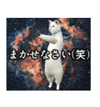 ⚫踊る宇宙猫40匹セット(セリフ付き)（個別スタンプ：14）