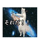 ⚫踊る宇宙猫40匹セット(セリフ付き)（個別スタンプ：16）