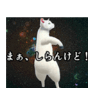 ⚫踊る宇宙猫40匹セット(セリフ付き)（個別スタンプ：19）