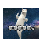 ⚫踊る宇宙猫40匹セット(セリフ付き)（個別スタンプ：21）